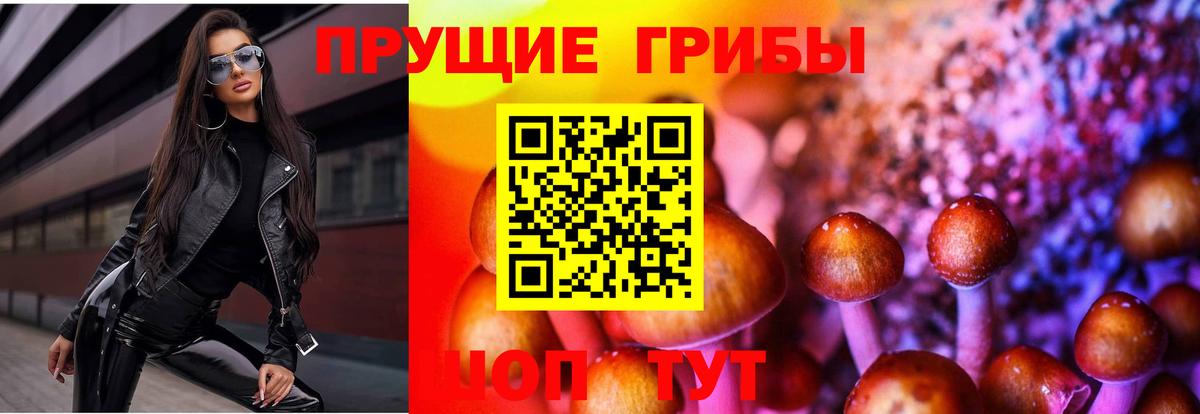 Псилоцибиновые грибы MAGIC MUSHROOMS  Псилоцибиновые грибы мухоморы  Вход с VPN  Алушта 